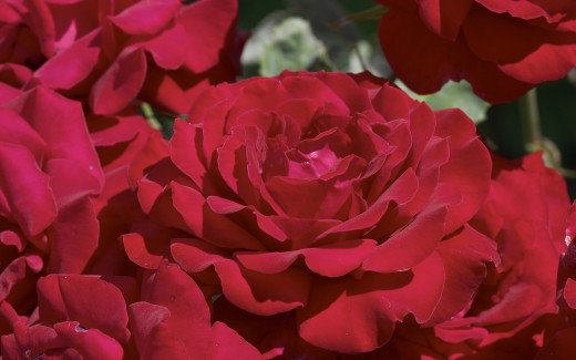 485536 (a): :2560x1600